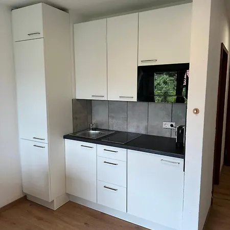 Wohlfuehlwohnung In - Zentral Und Entspannt Eppelheim